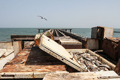 Fishing off the coast of The Gambia