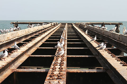 Fishing off the coast of The Gambia