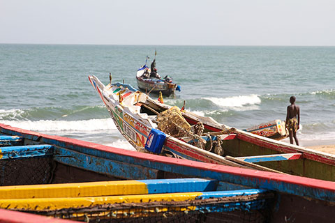 Fishing off the coast of The Gambia