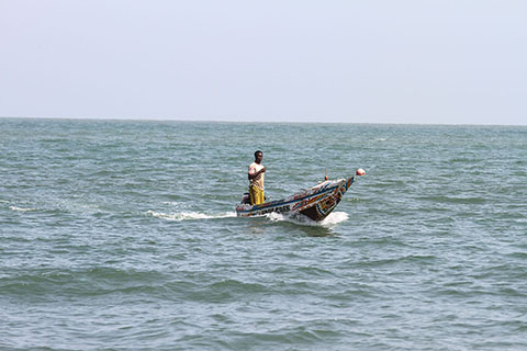 Fishing off the coast of The Gambia