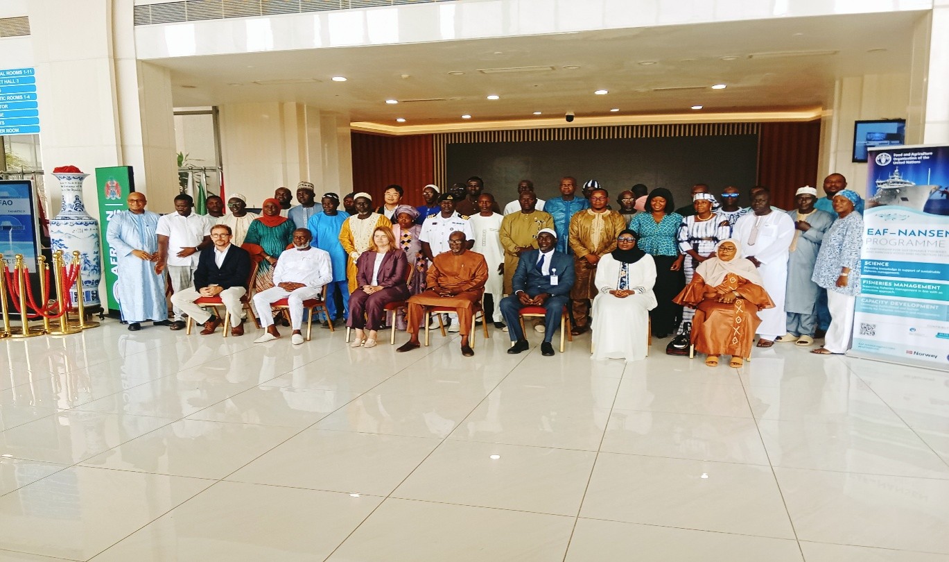 The Gambia Launches Sardinella and Bonga Fisheries Management Plan and reveals EAF-Nansen Phase II support project